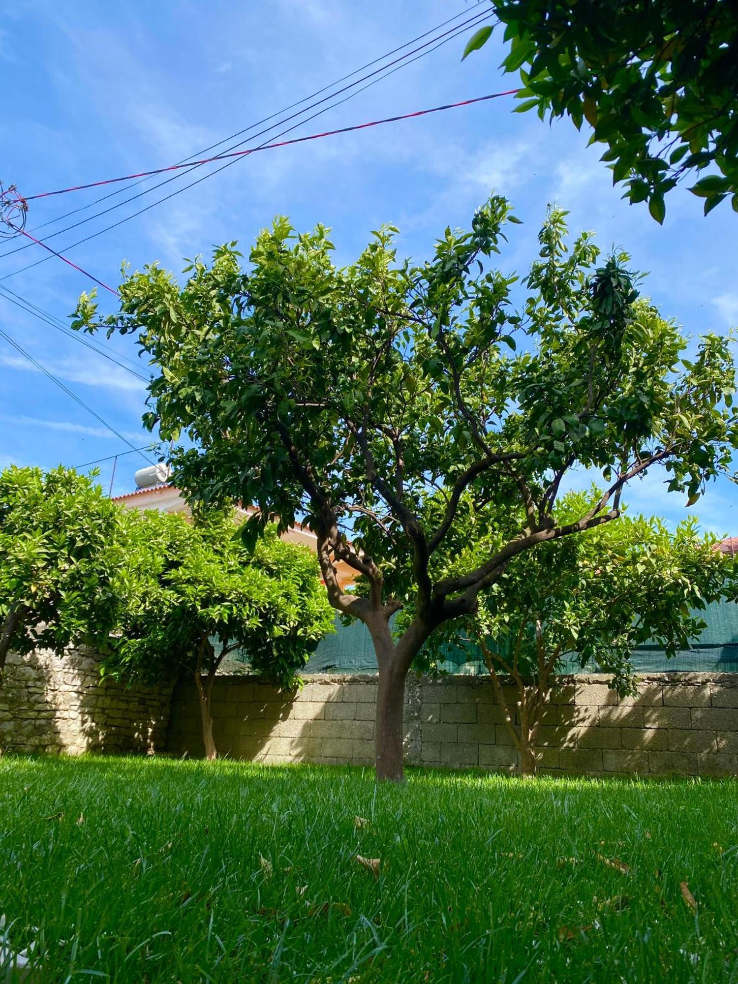 Villa Berat Exterior foto