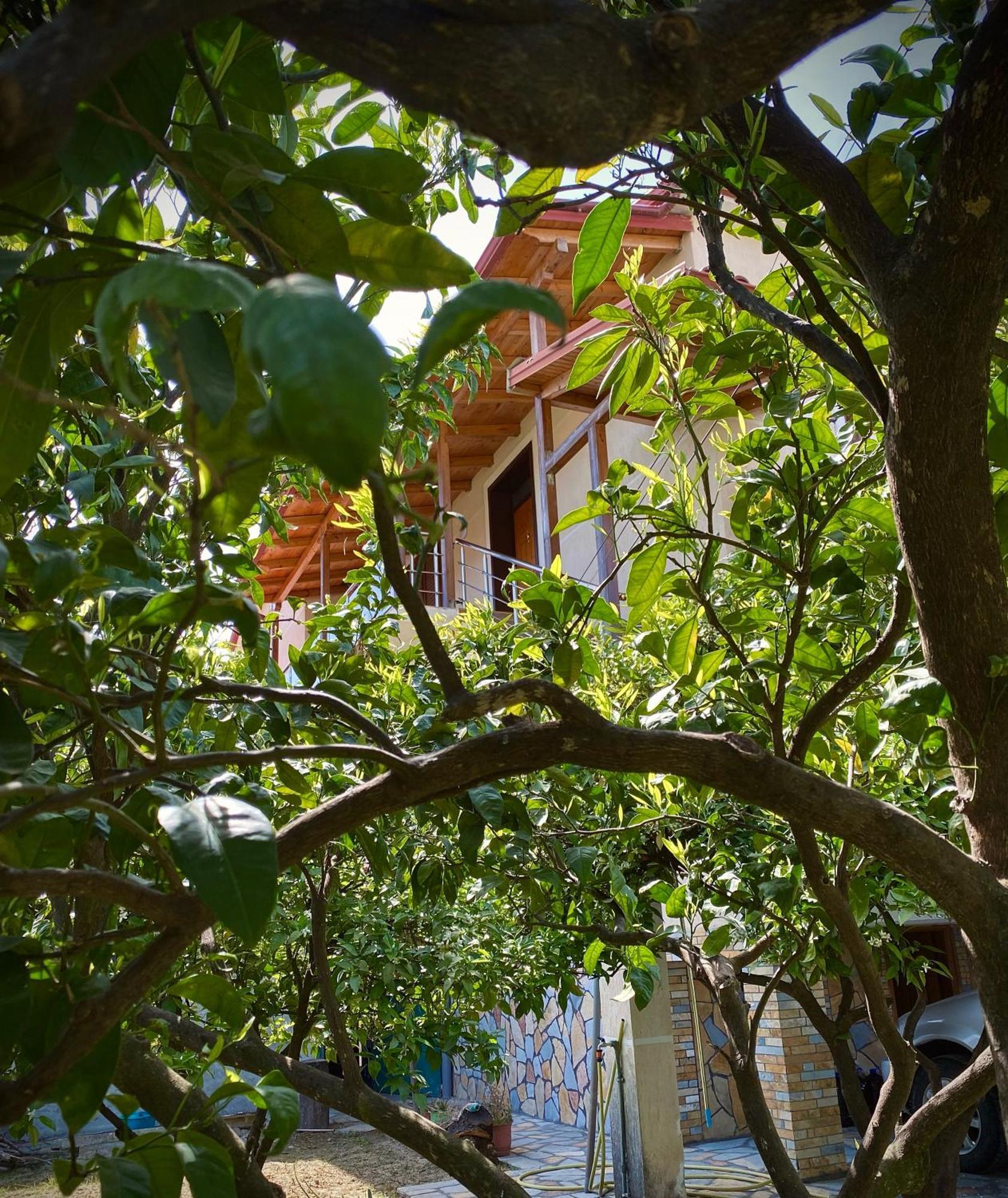 Villa Berat Exterior foto